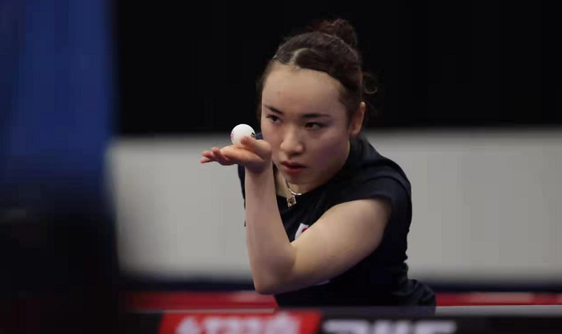 的参赛阵容 的参赛阵容