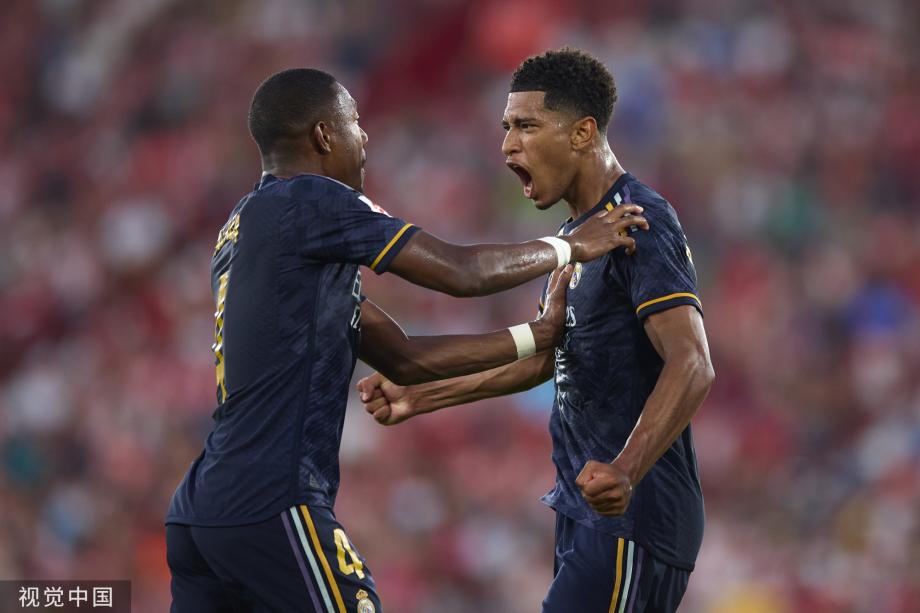 这些历史瑰 这些历史瑰